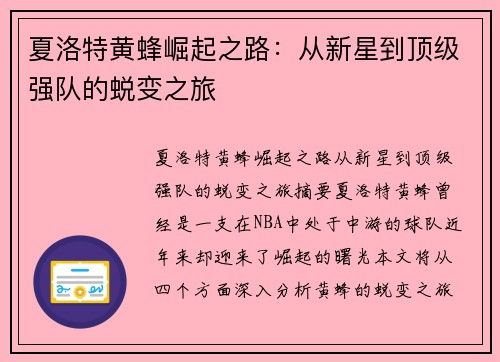 夏洛特黄蜂崛起之路：从新星到顶级强队的蜕变之旅